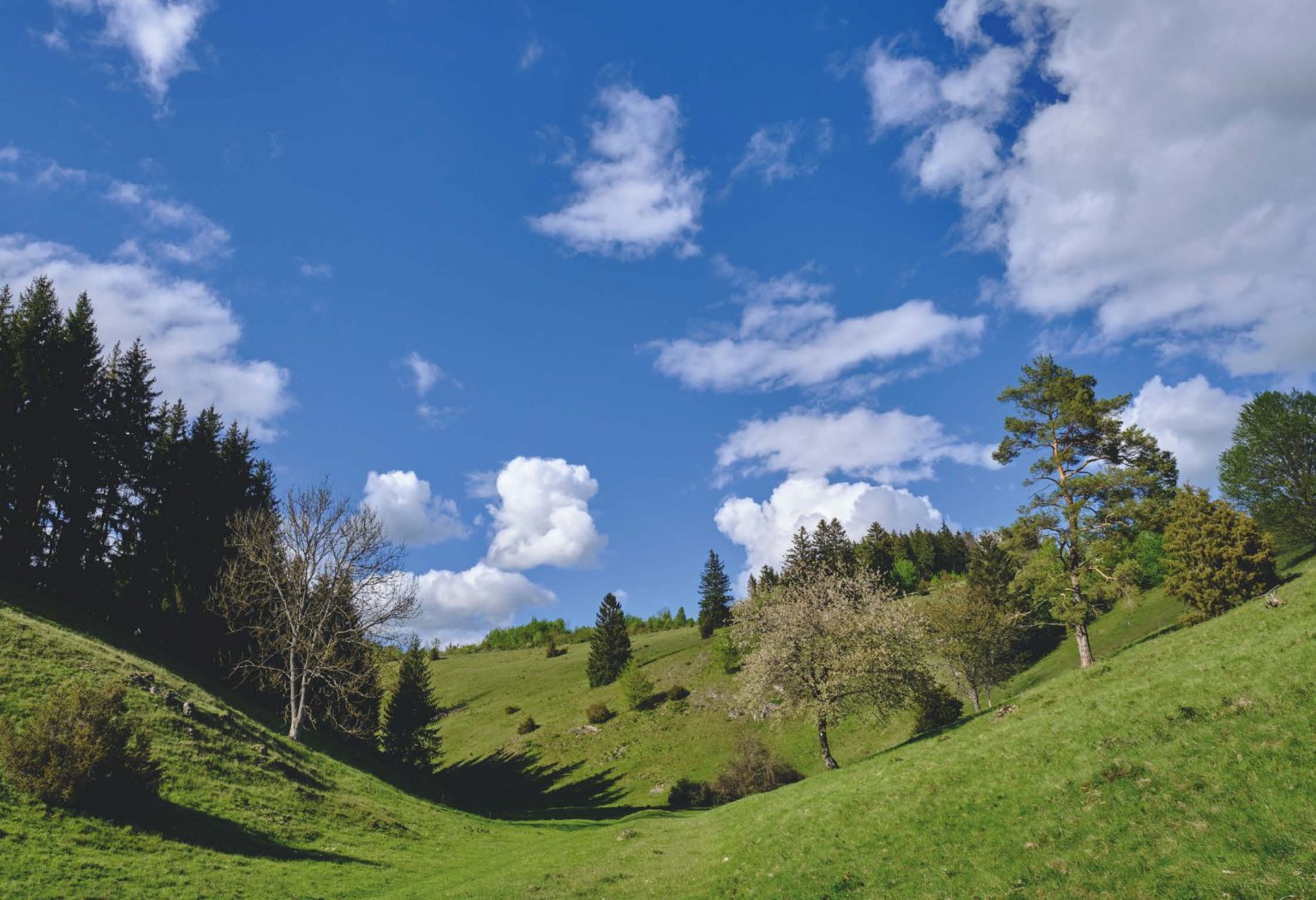 Scheunenwirtin_Final_Buch_Seite_012