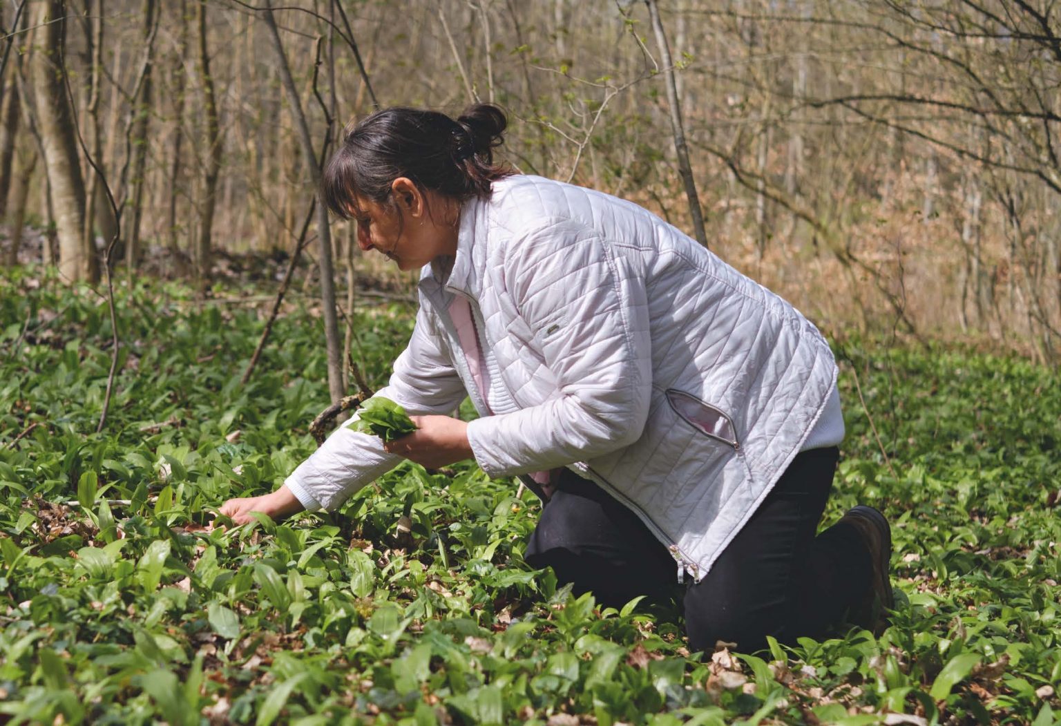 Scheunenwirtin_Final_Buch_Seite_015