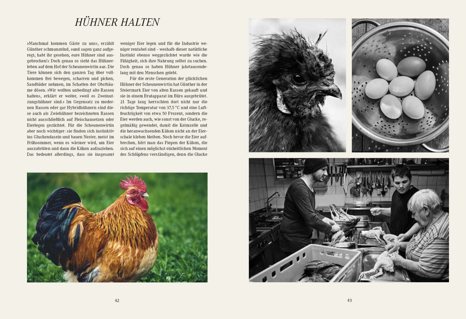 Scheunenwirtin_Final_Buch_Seite_022