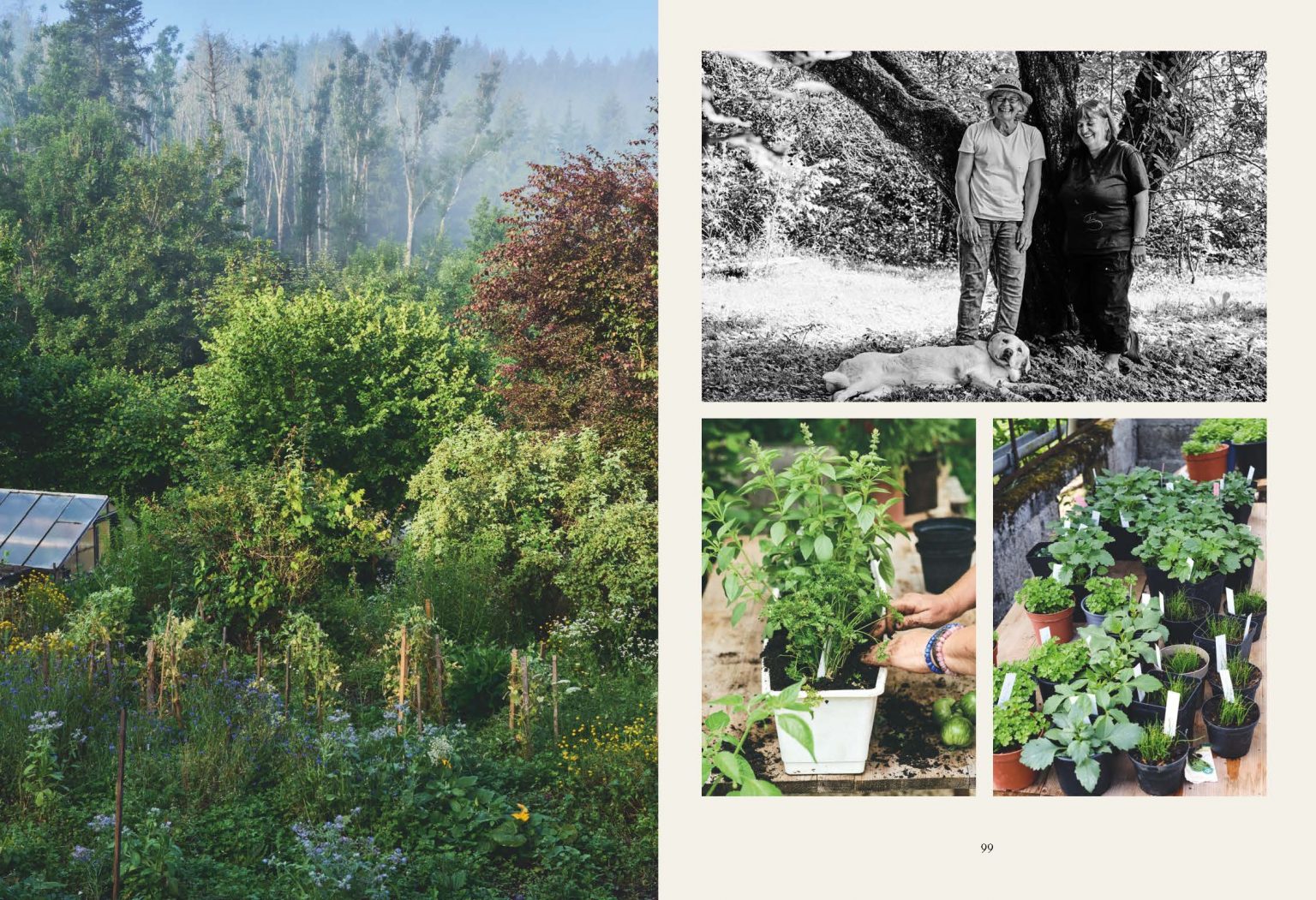 Scheunenwirtin_Final_Buch_Seite_050