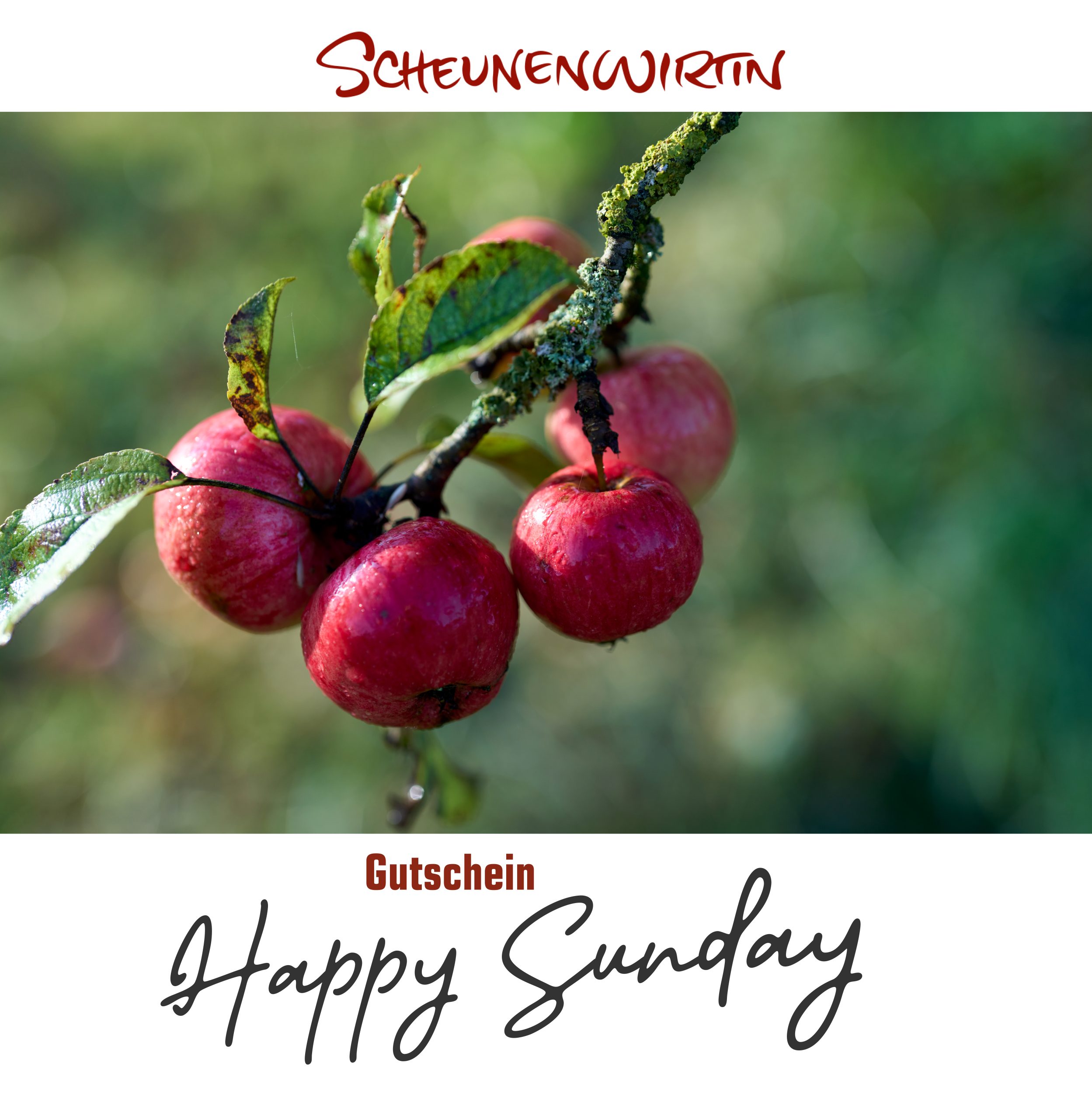 Gutschein Happy Sunday - Das Sonntagsessen mit Familie und Freunden