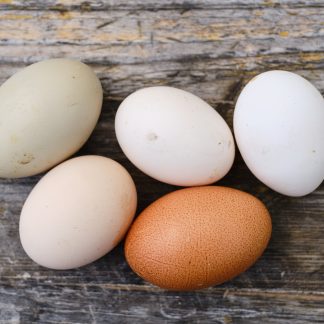 So. 15.02.2026 Kaiserfrühstück