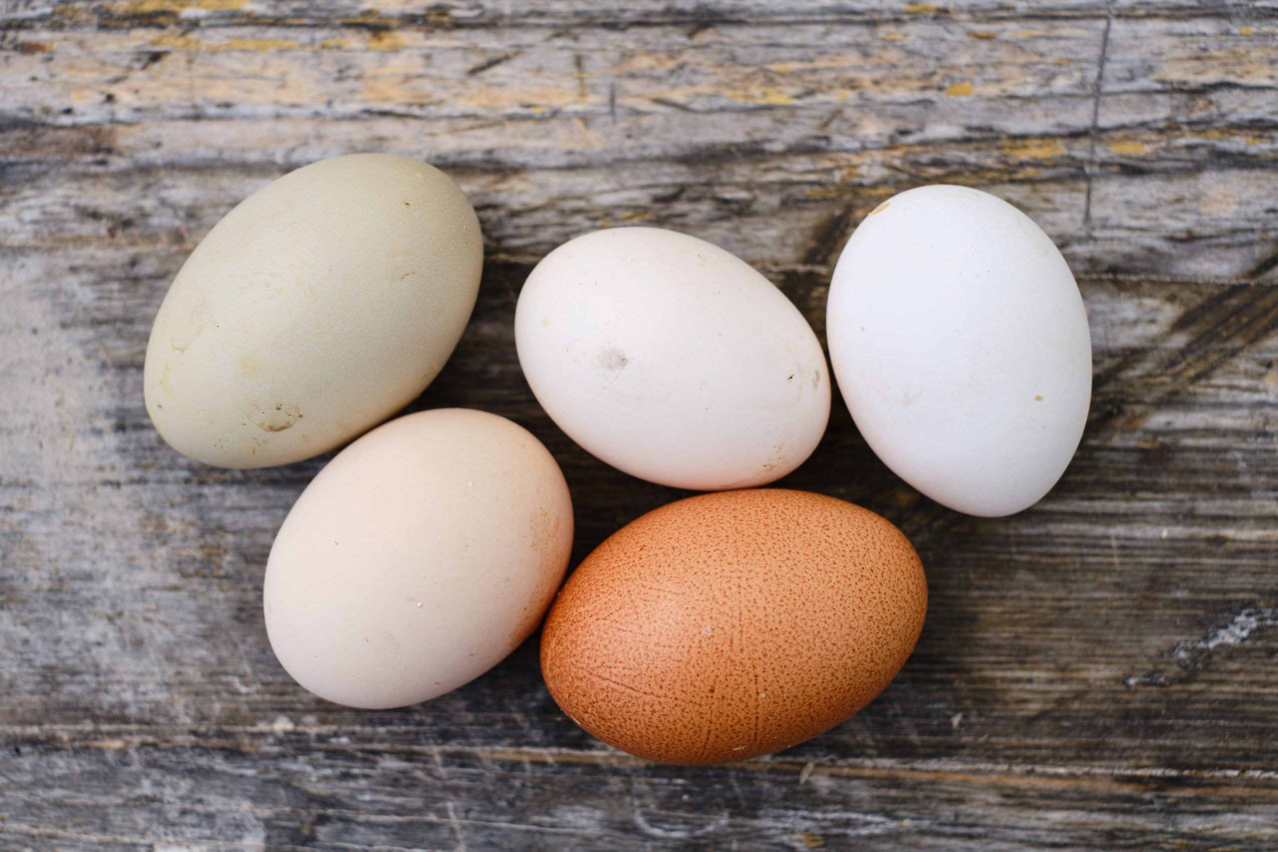 So. 15.02.2026 Kaiserfrühstück