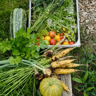 So. 04.10.2026 Happy Sunday - Das Sonntagsessen mit Familie & Freunden