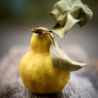 So. 27.09.2026 Happy Sunday - Das Sonntagsessen mit Familie & Freunden