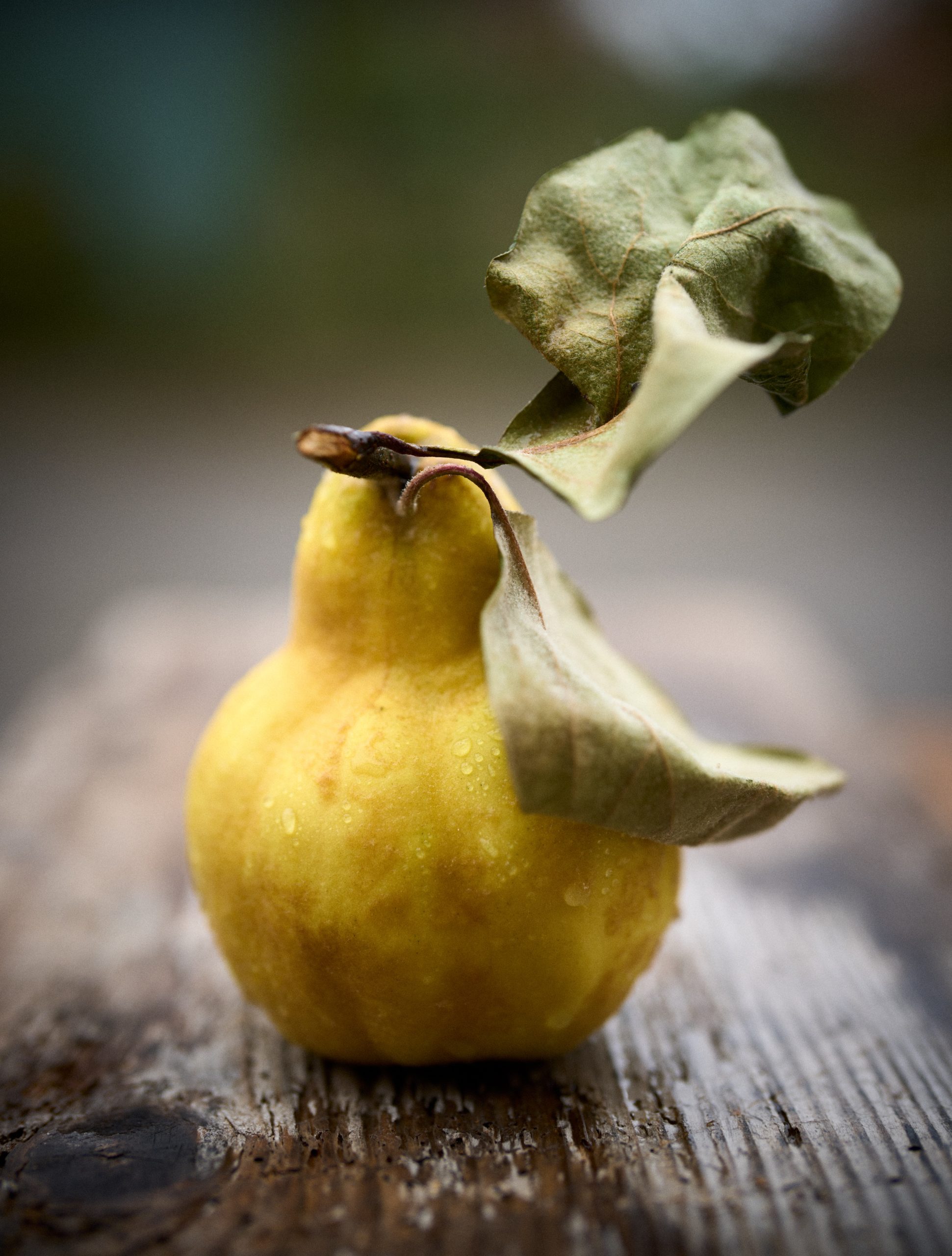 So. 27.09.2026 Happy Sunday - Das Sonntagsessen mit Familie & Freunden