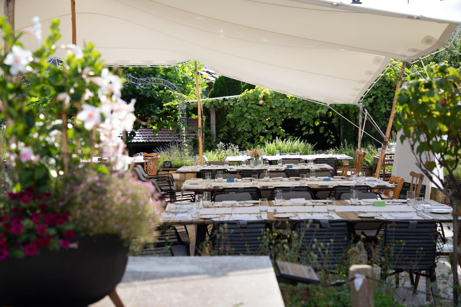 patricia-stephan_fotyfullpics4427