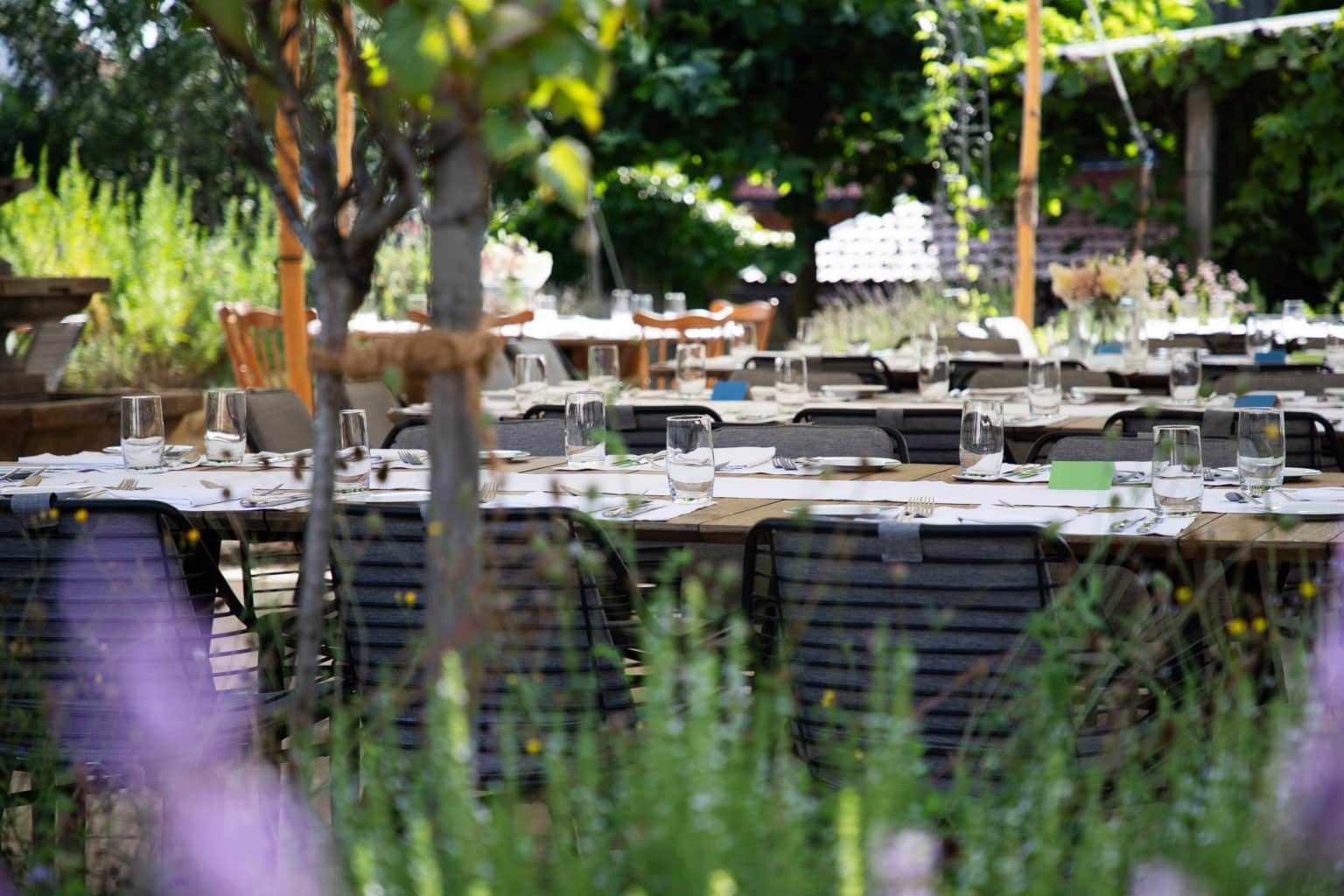 patricia-stephan_fotyfullpics4434