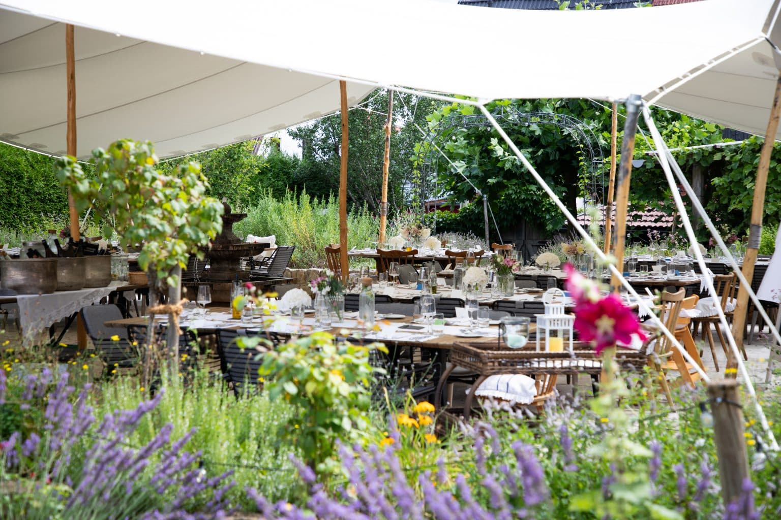 patricia-stephan_fotyfullpics5227